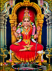    ��������� ��������������      
